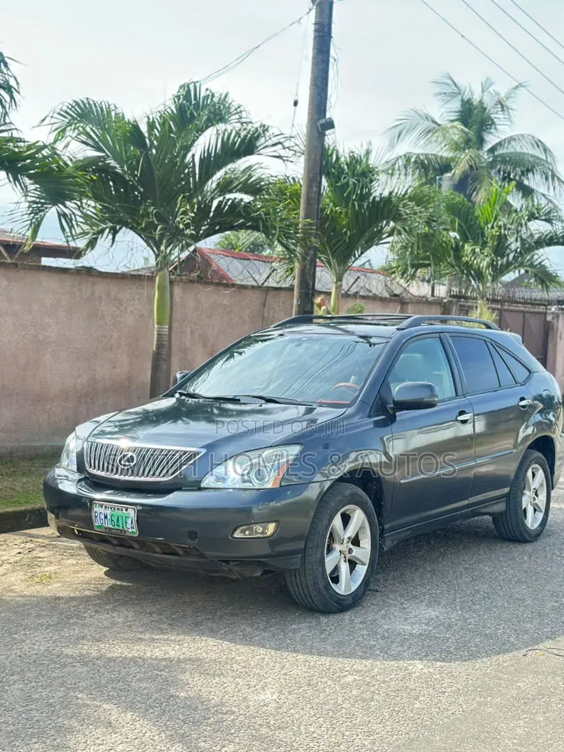 Lexus RX 330 2005 Gray