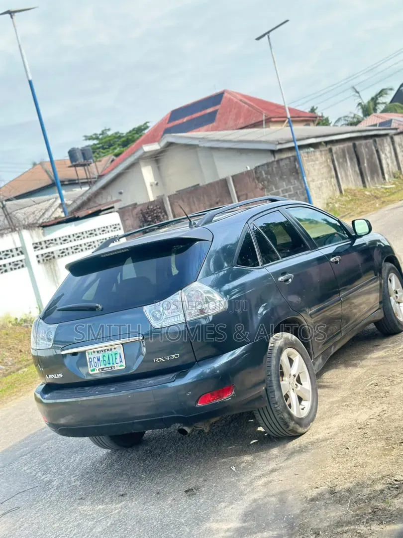 Lexus RX 330 2005 Gray