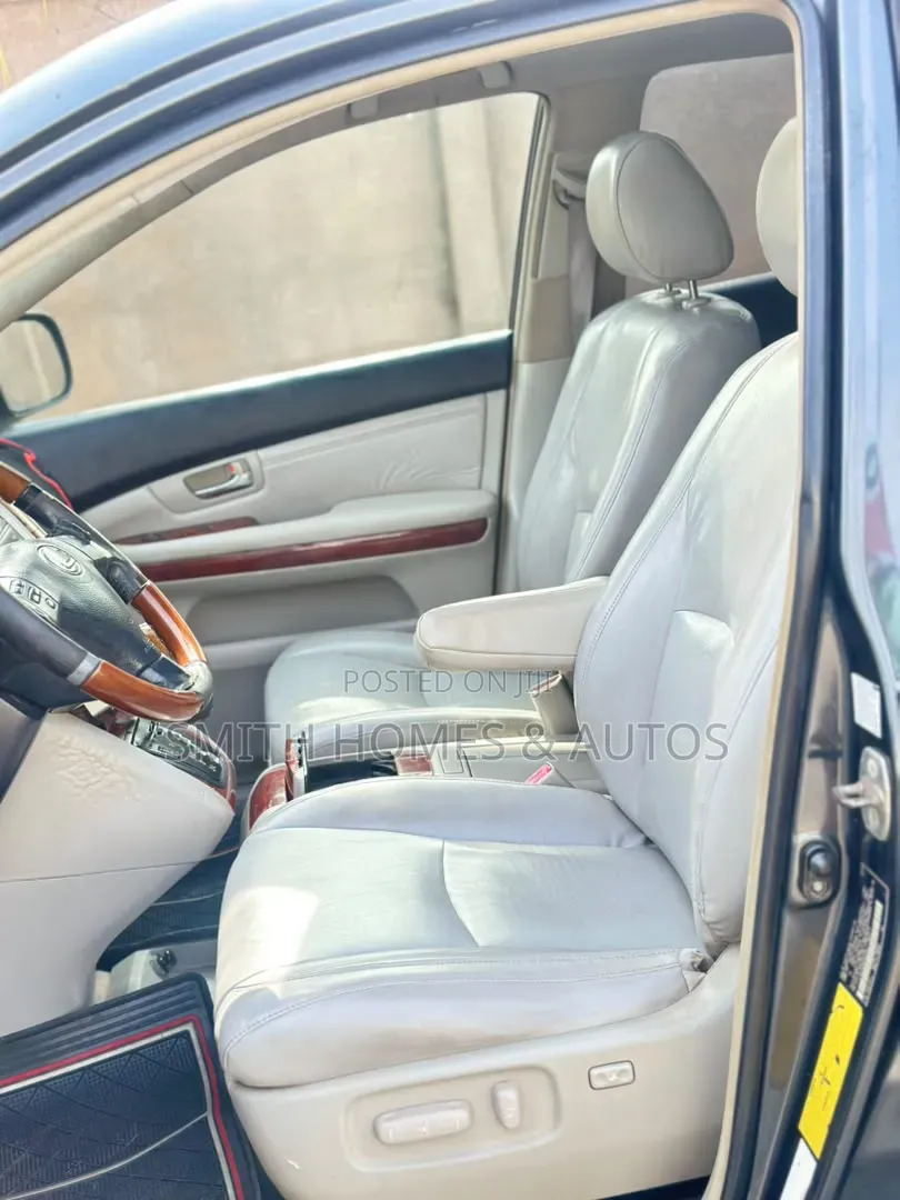 Lexus RX 330 2005 Gray