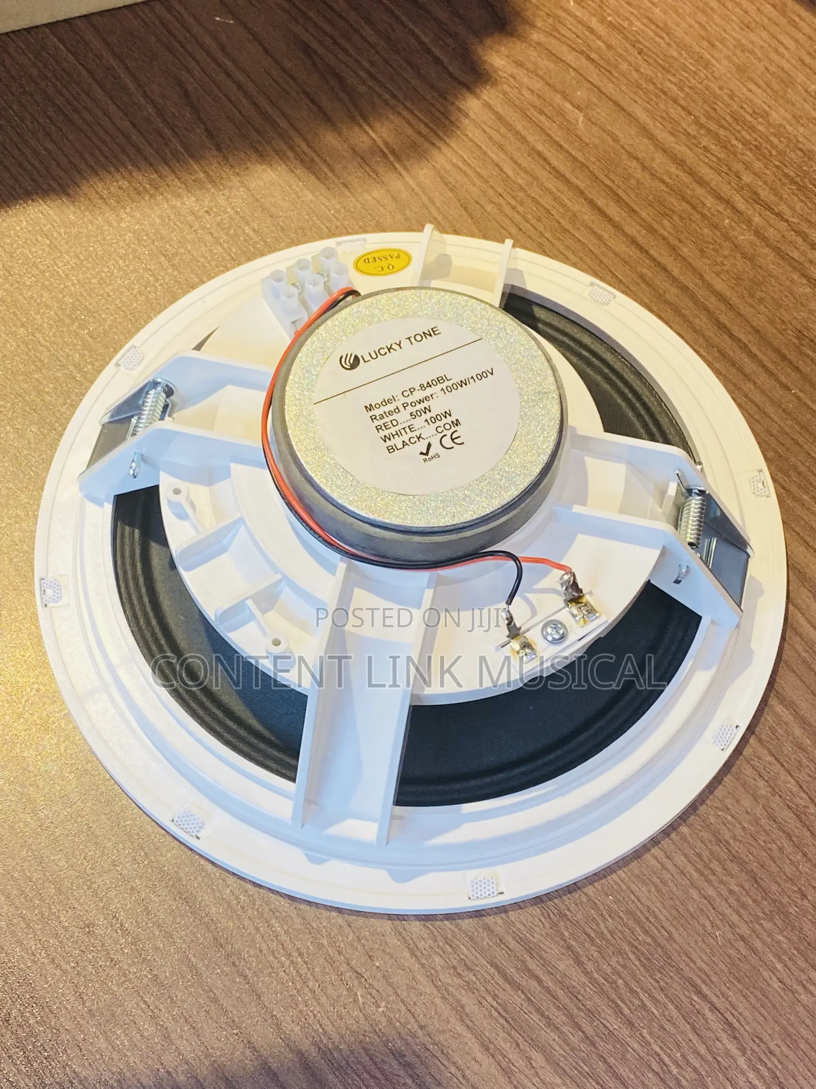100watts Passive Ceiling Speakers