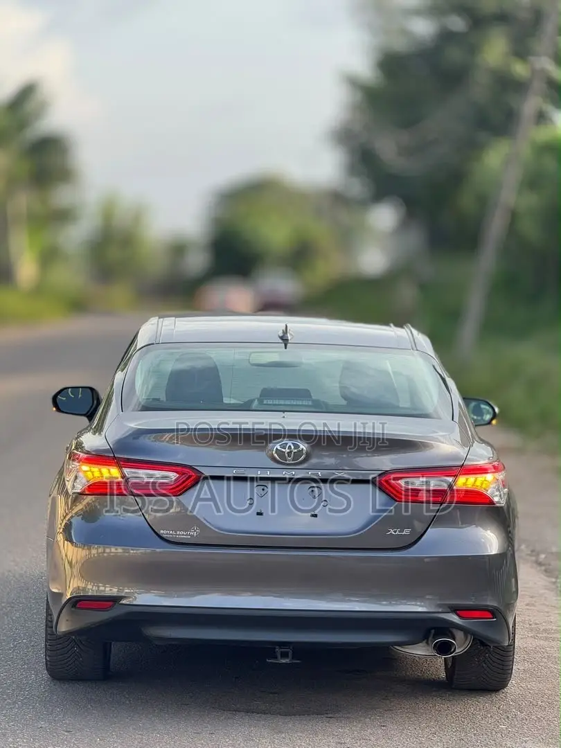 Toyota Camry XLE (2.5L 4cyl 8A) 2019 Gray