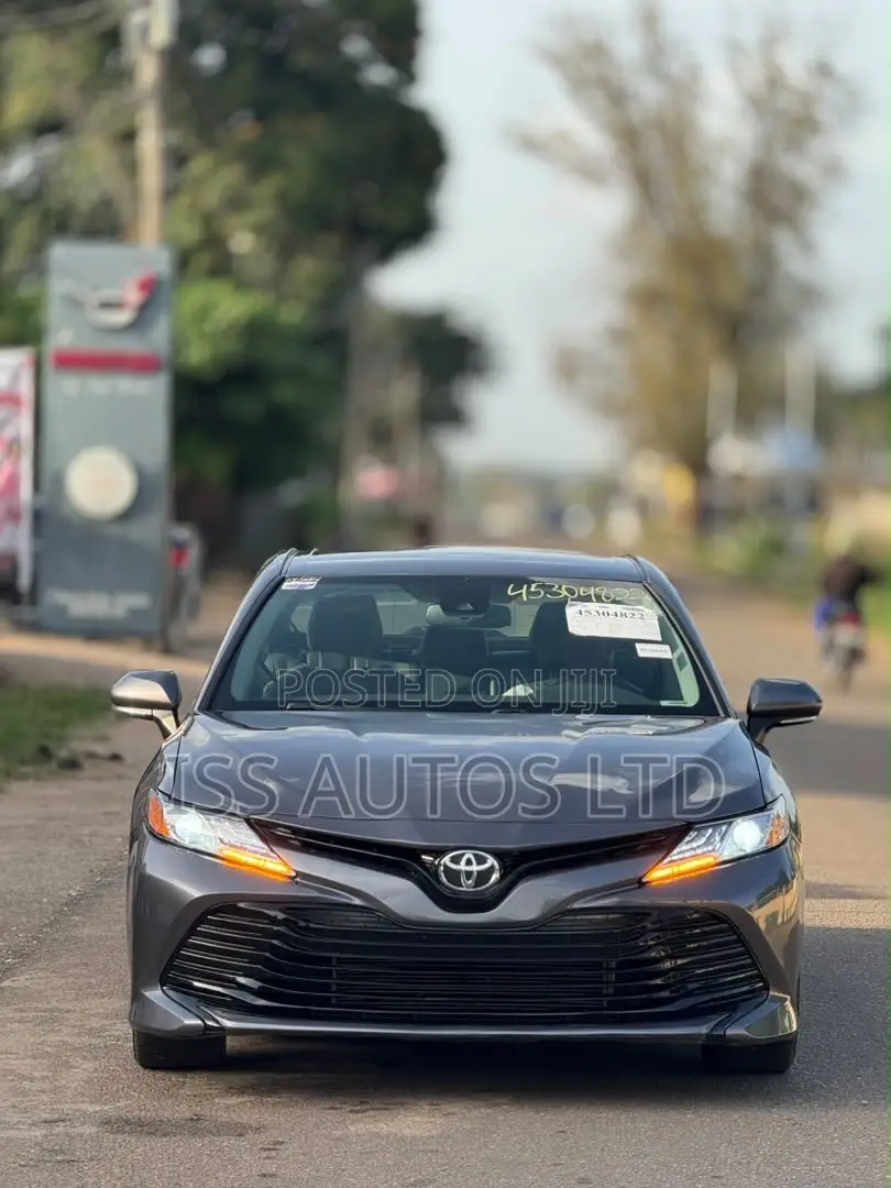 Toyota Camry XLE (2.5L 4cyl 8A) 2019 Gray