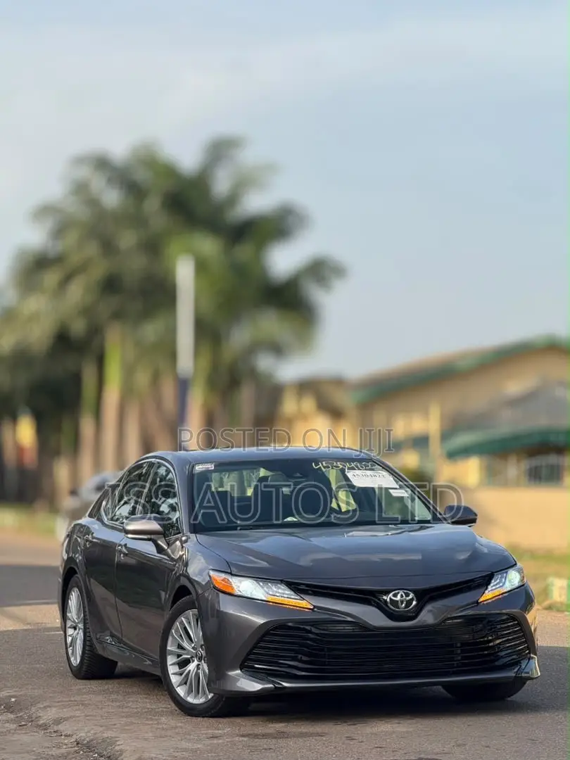 Toyota Camry XLE (2.5L 4cyl 8A) 2019 Gray