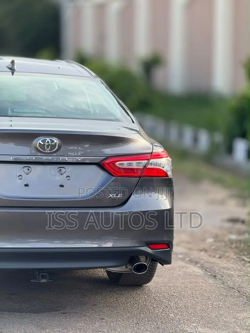 Toyota Camry XLE (2.5L 4cyl 8A) 2019 Gray