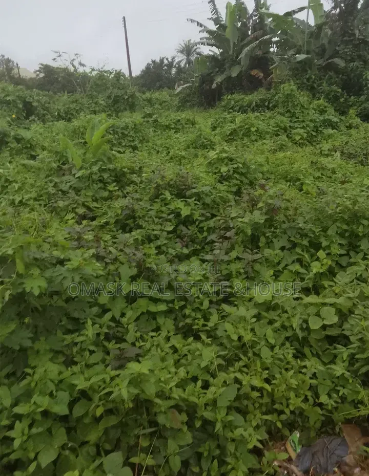 Over 100 Acres of Land for Sale- Ibadan Express Way