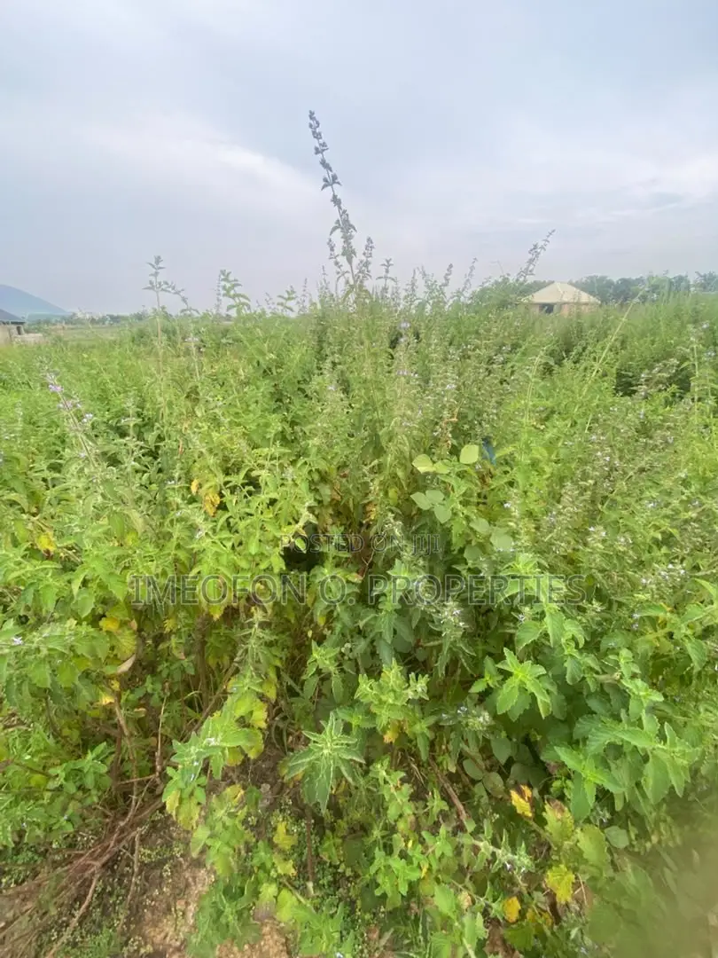 Distress Sale 500 SQM Estate Plot by Kubwa Express Way, Abuja