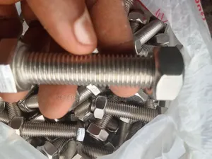 M30 × 70 Bolt and Nuts Stainless Steel