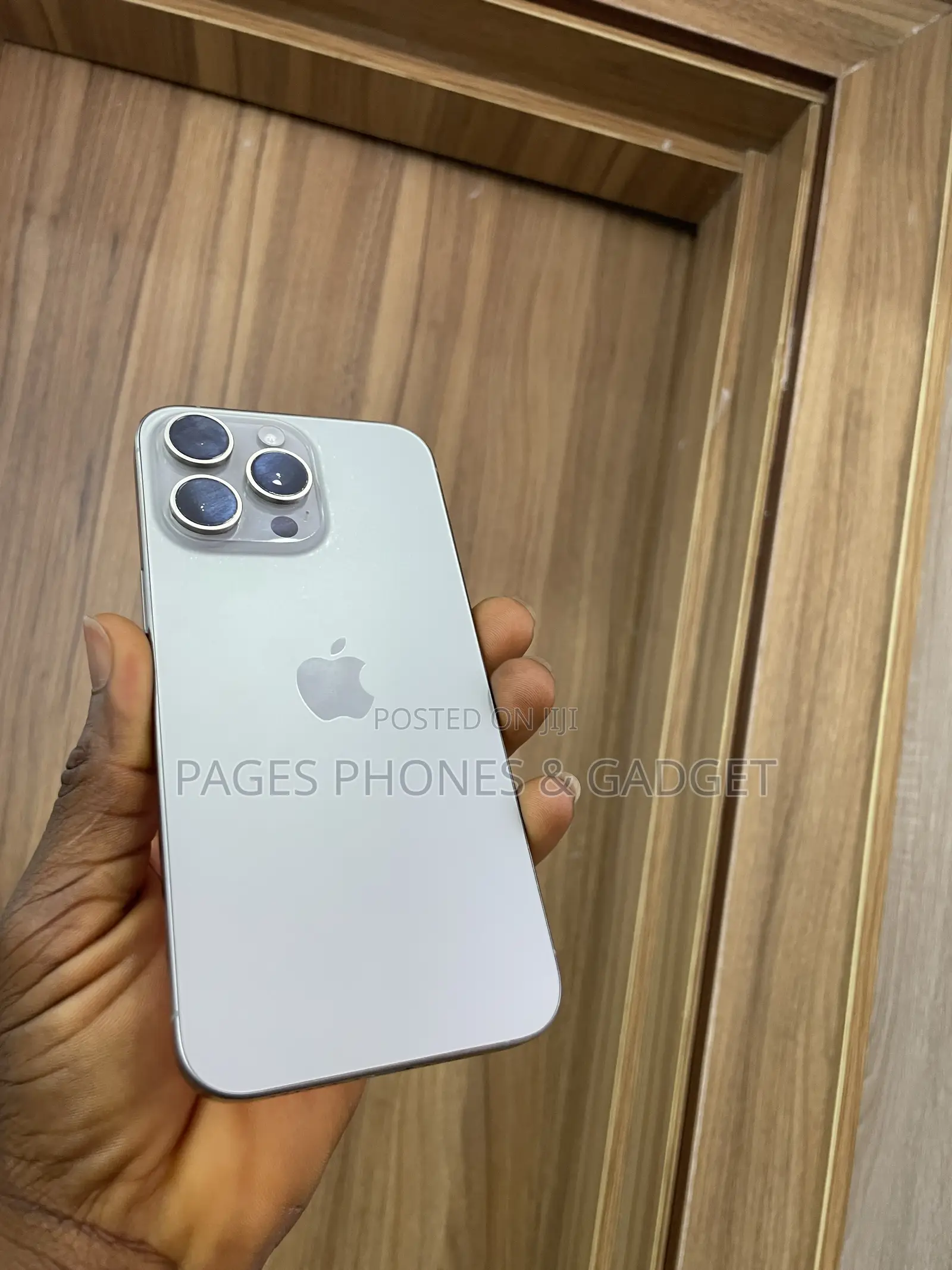 Apple iPhone 15 Pro Max 256 GB Silver