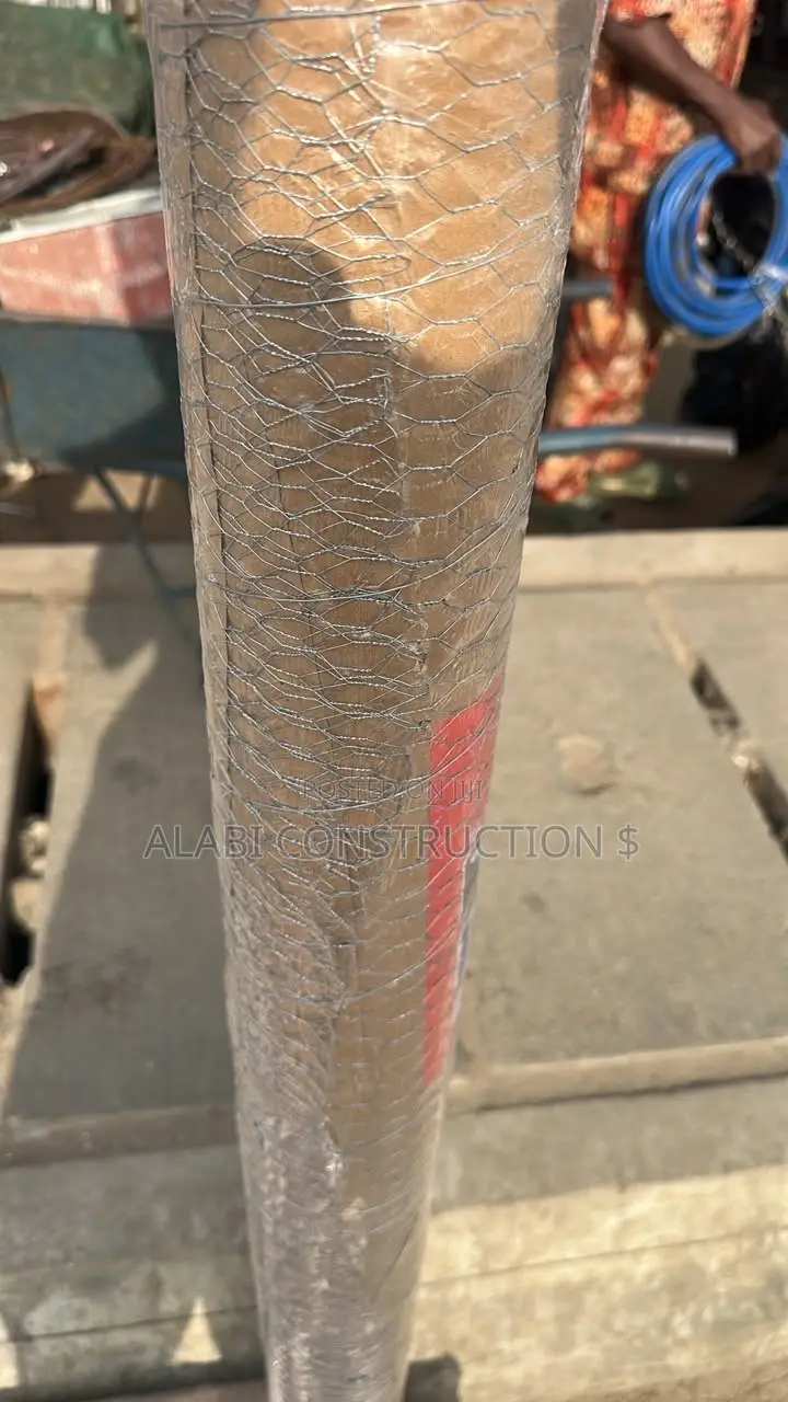 Galvanized Chicken Net Wire Mesh / Bokoharam Mesh
