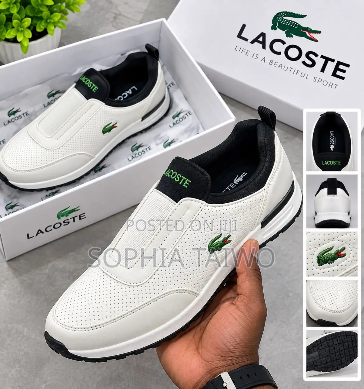 Lacoste Men Sneaks