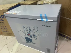 Original Skyrun BD-250A Inverter Freezer