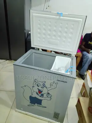 SKYRUN Inverter Chest Freezer for Efficient Food Storage