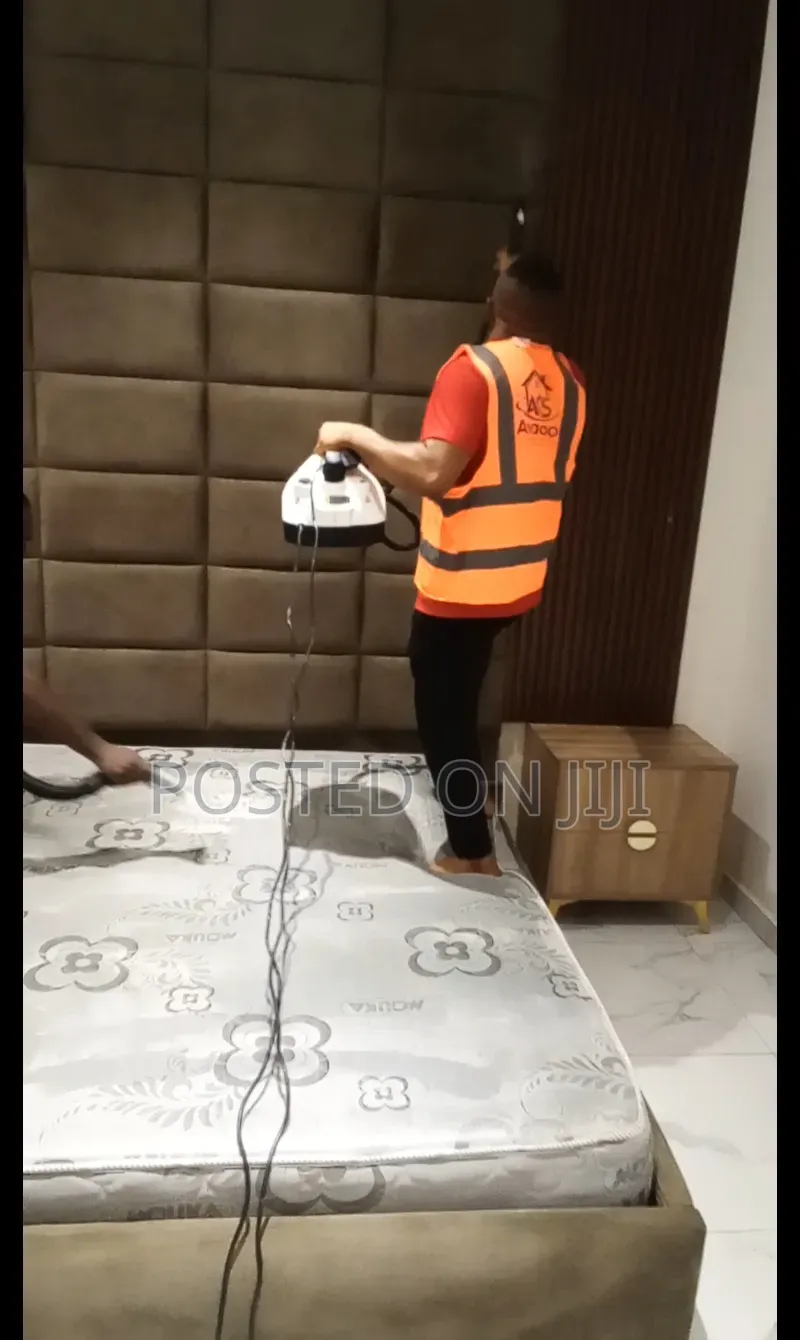 Professional Sofa Cleaning Services Abuja