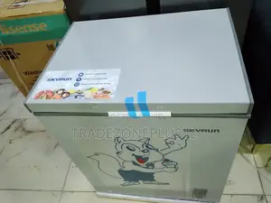 Buy a SKYRUN 145L Freezer for Your Food Supplies
