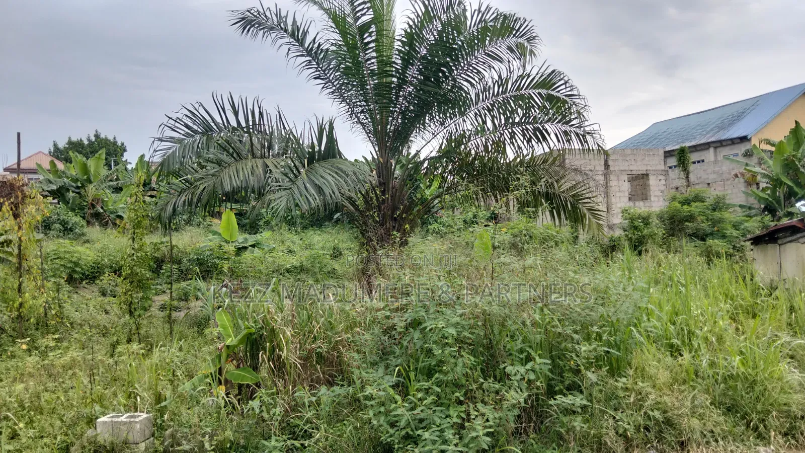 For Sale : 4 Plots on Eastwest Road Between Rumuokoro/ Obirikwere. Ph