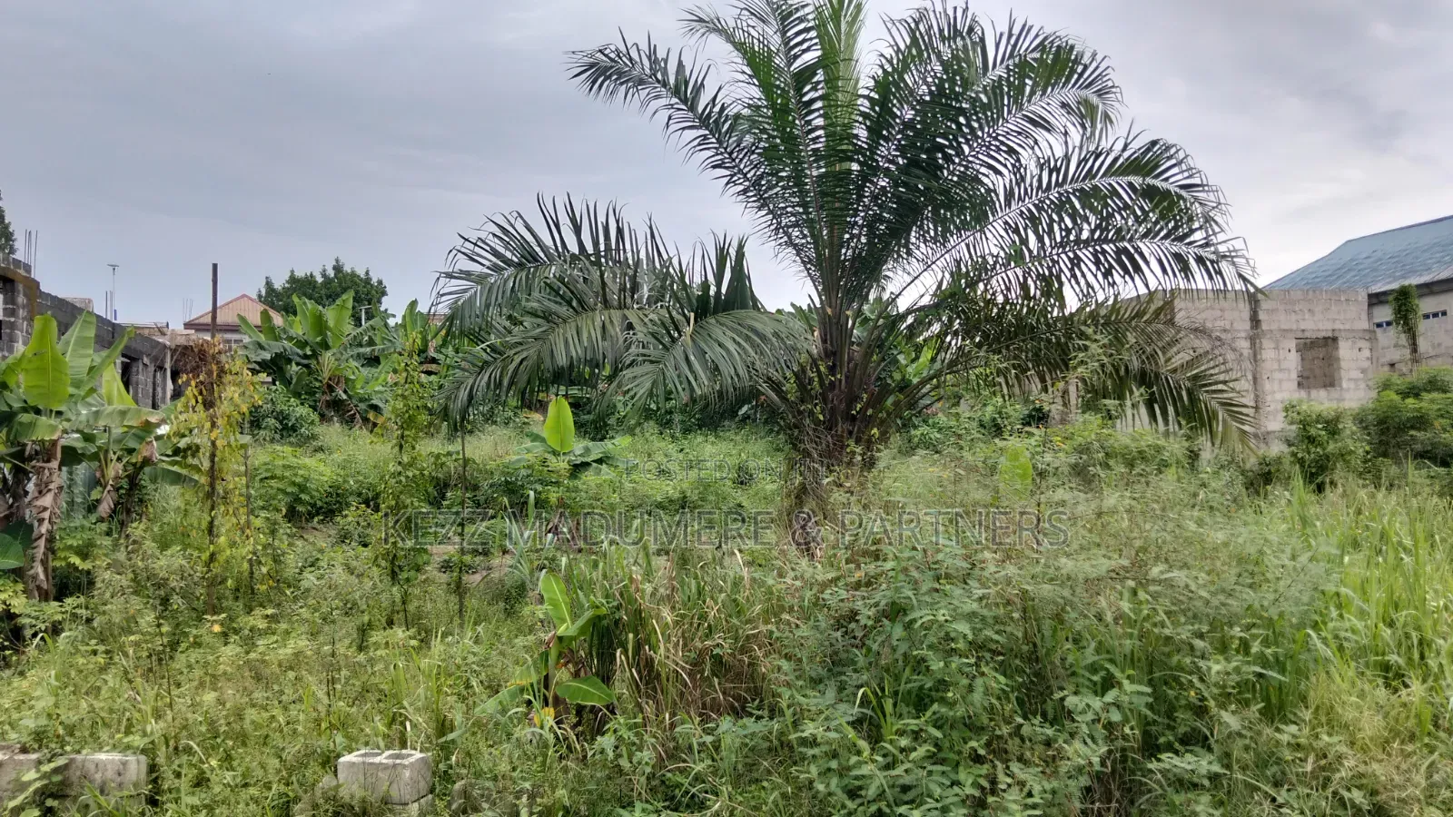 For Sale : 4 Plots on Eastwest Road Between Rumuokoro/ Obirikwere. Ph