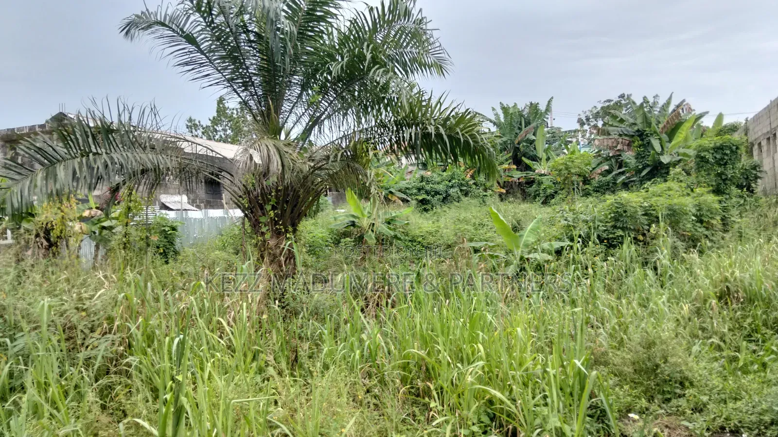 For Sale : 4 Plots on Eastwest Road Between Rumuokoro/ Obirikwere. Ph