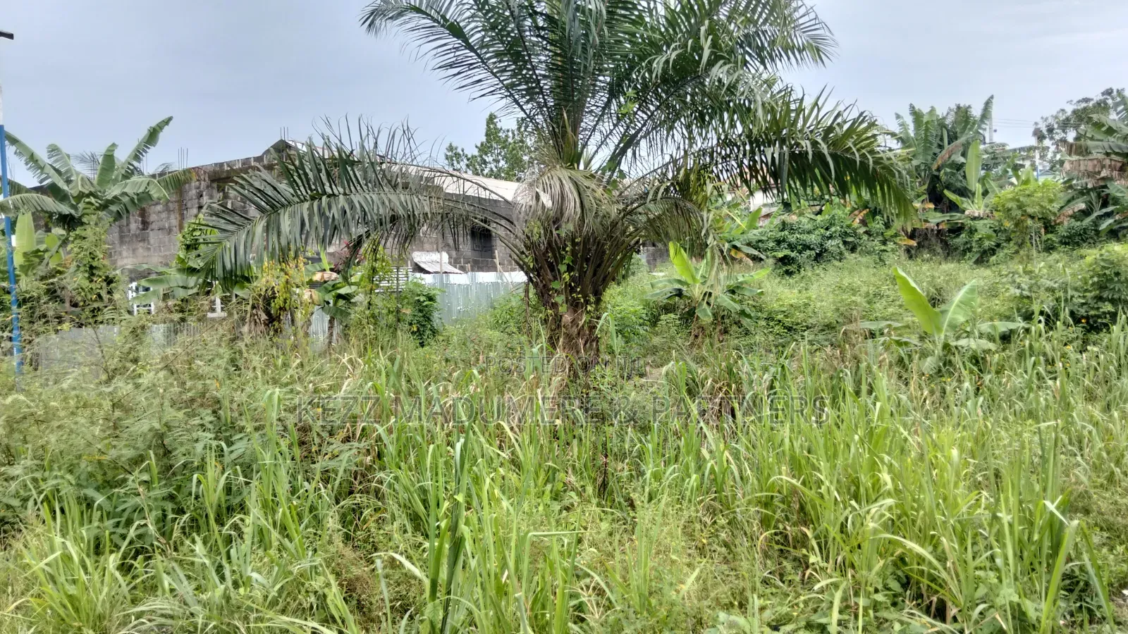 For Sale : 4 Plots on Eastwest Road Between Rumuokoro/ Obirikwere. Ph