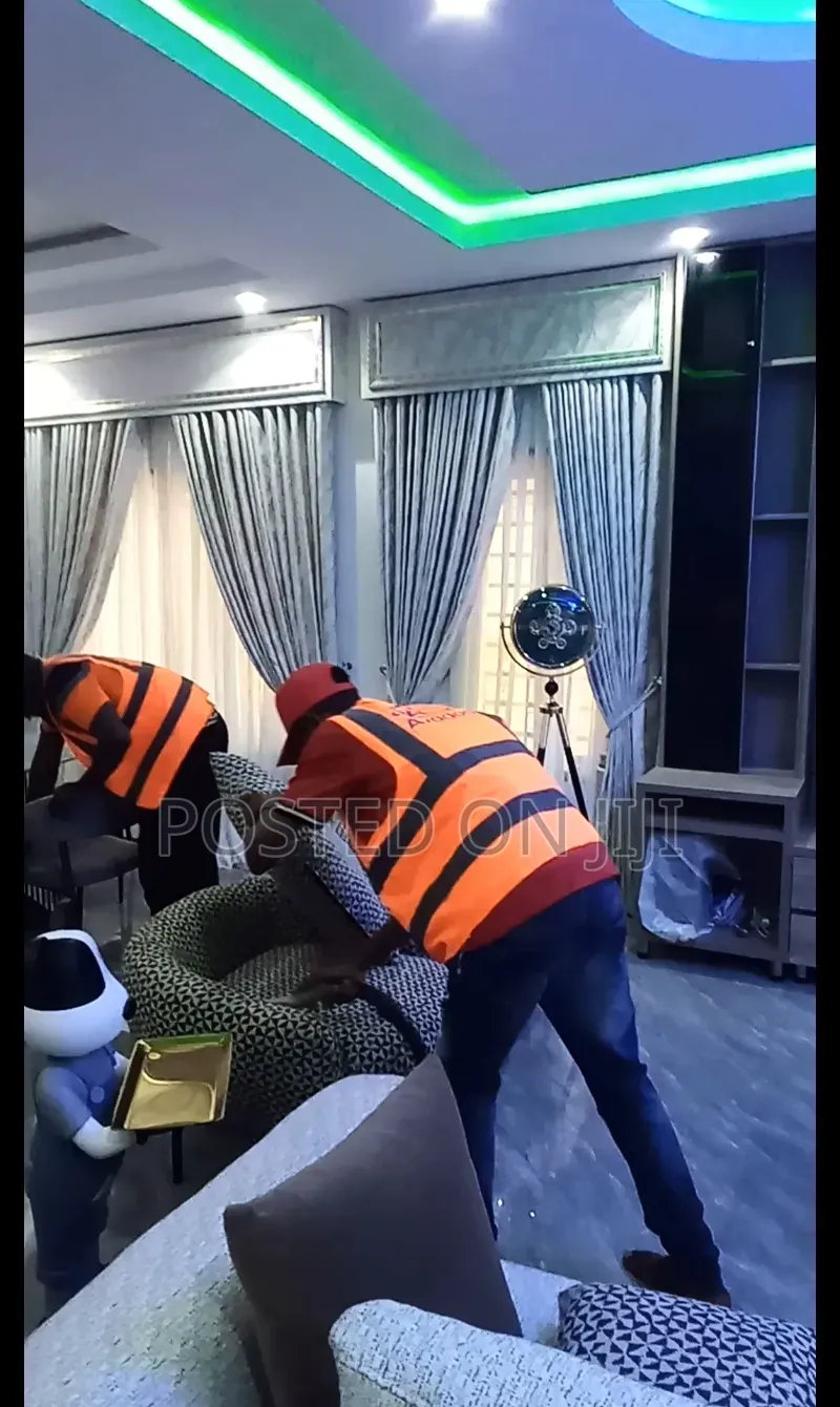 Sofa Stain Removal and Steam Cleaning