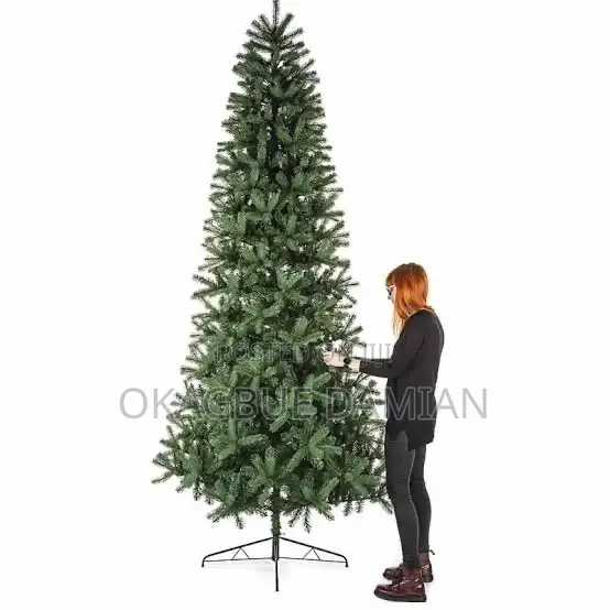 Christmas Trees