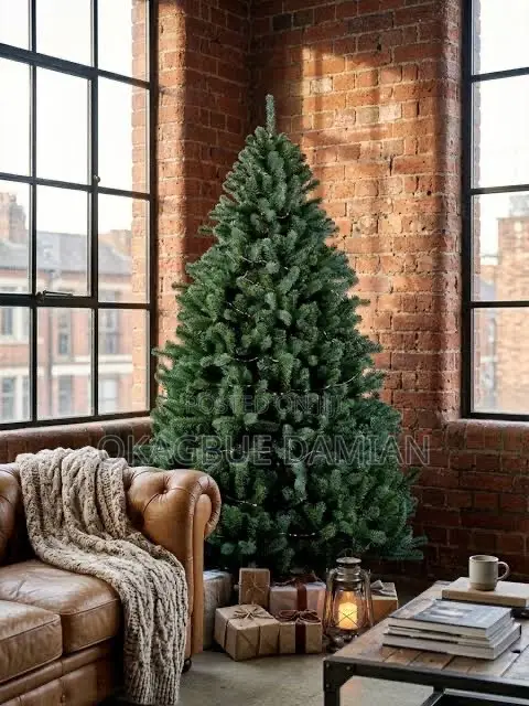 Christmas Trees