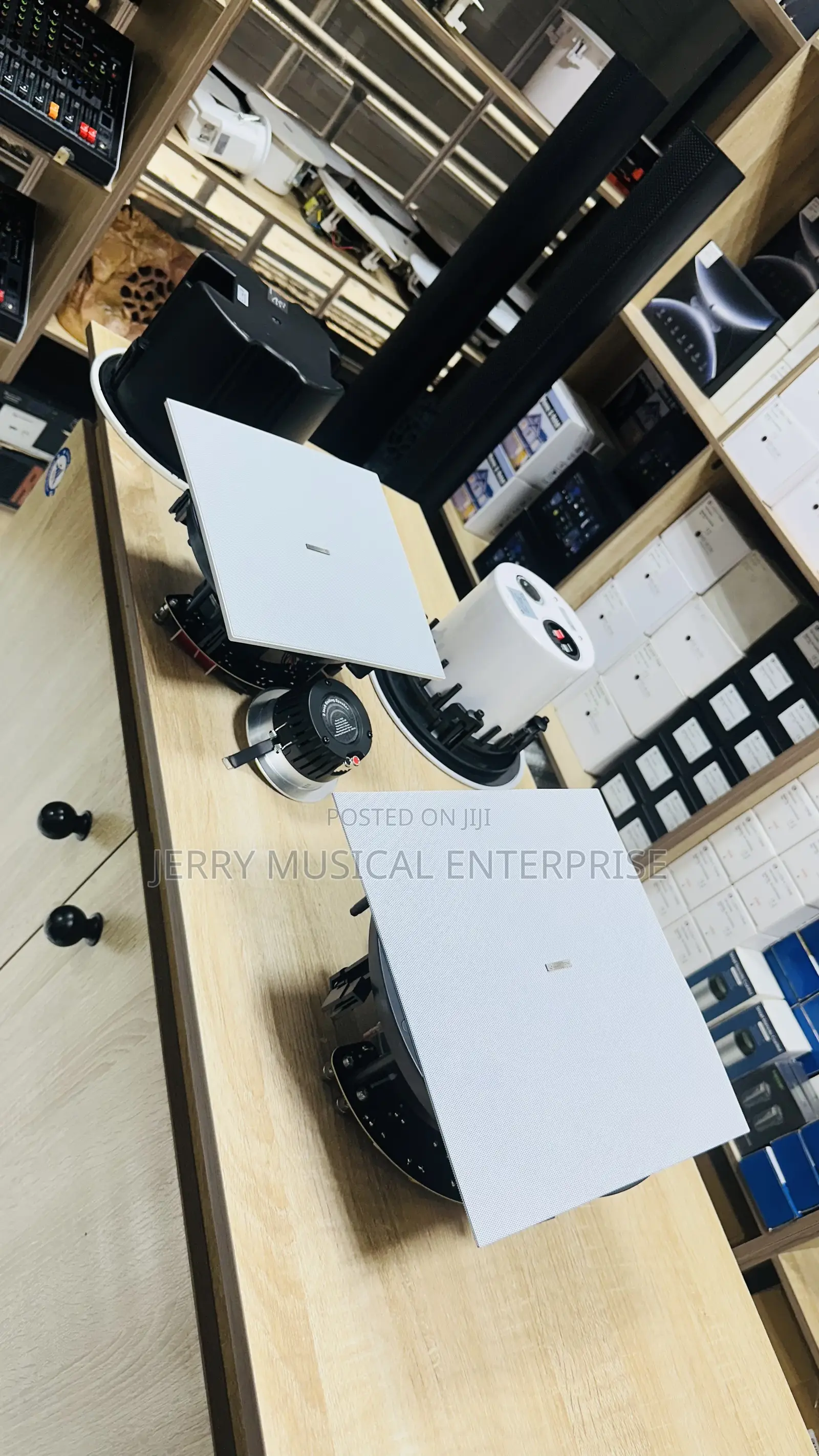 120w Ceiling Speakers With Woofer and Twitter