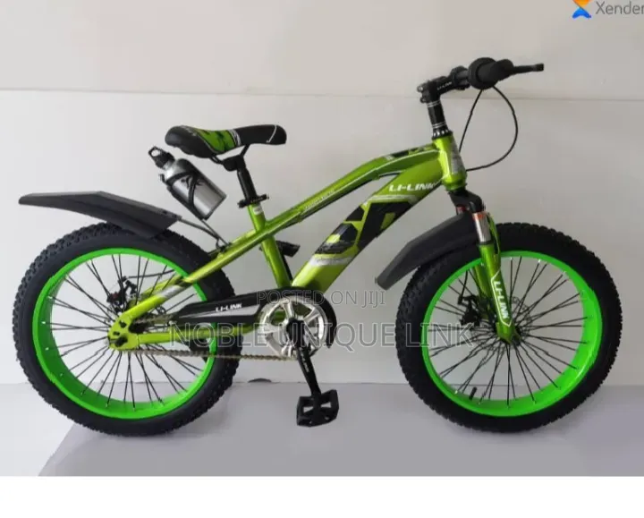Fat Tire Li Link Kids Bicycle 7-15 Years
