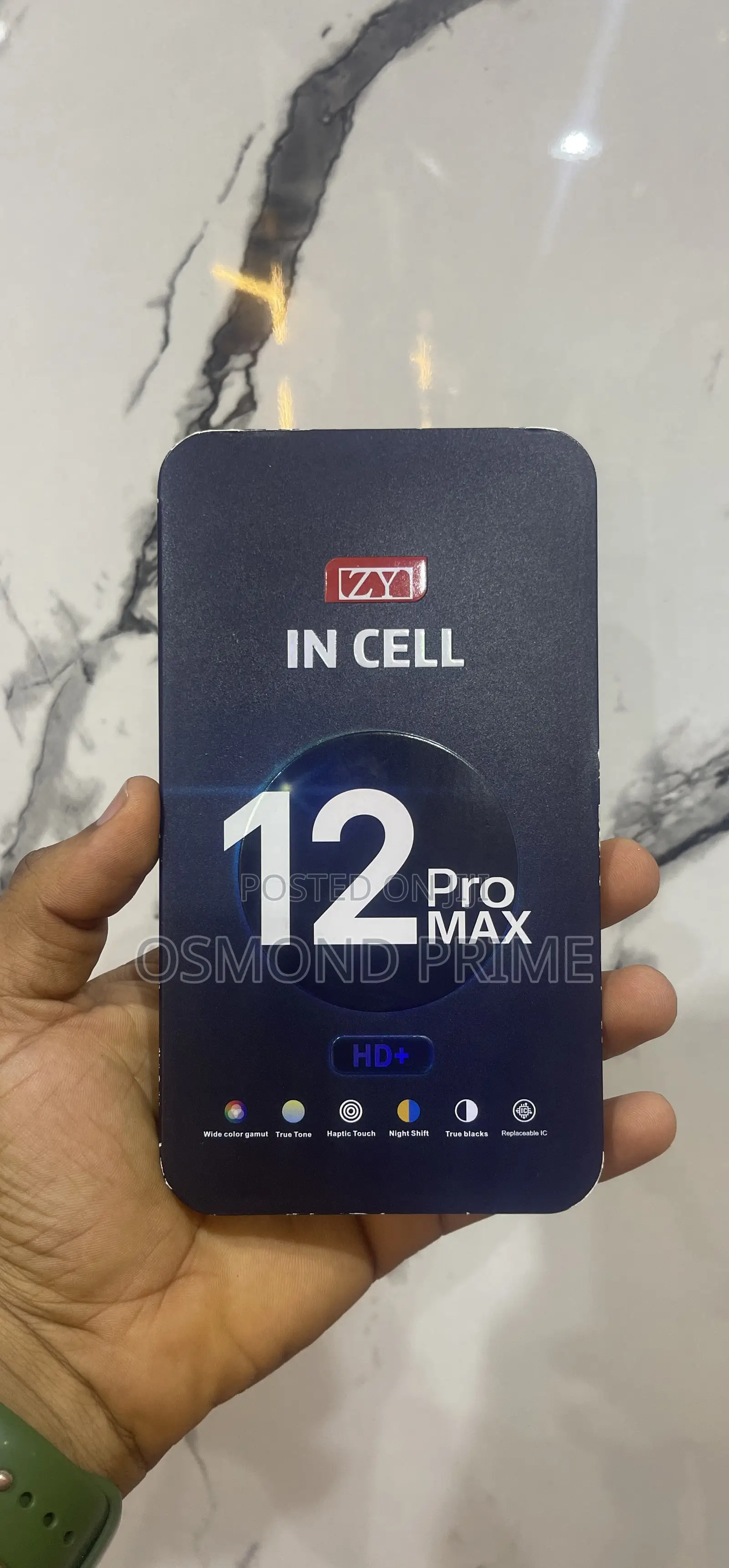 iPhone 12 Pro Max Screen