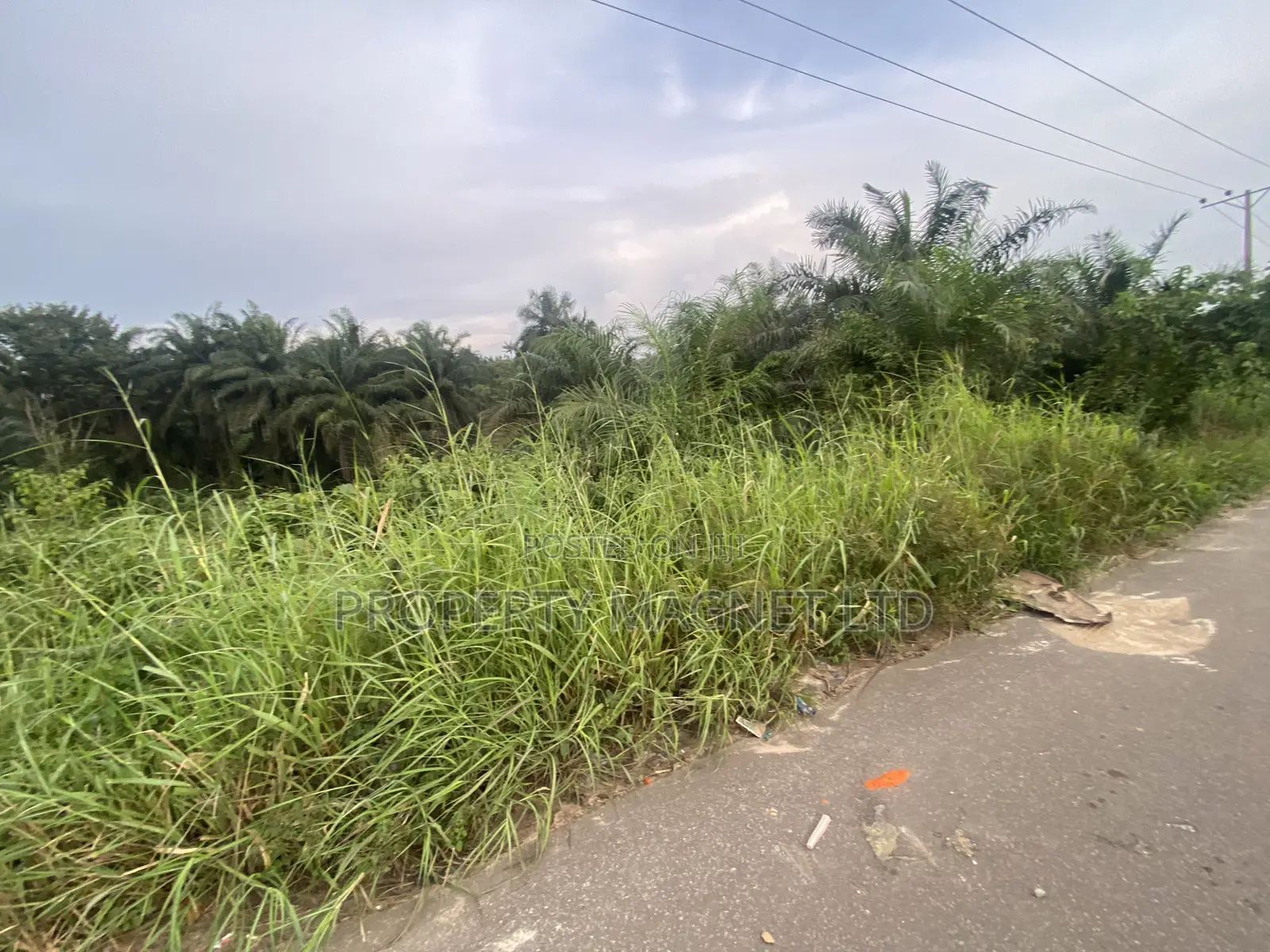Buy and Build 10 Plots of Land for Sale in Ohyia, Umuahia, Abia State