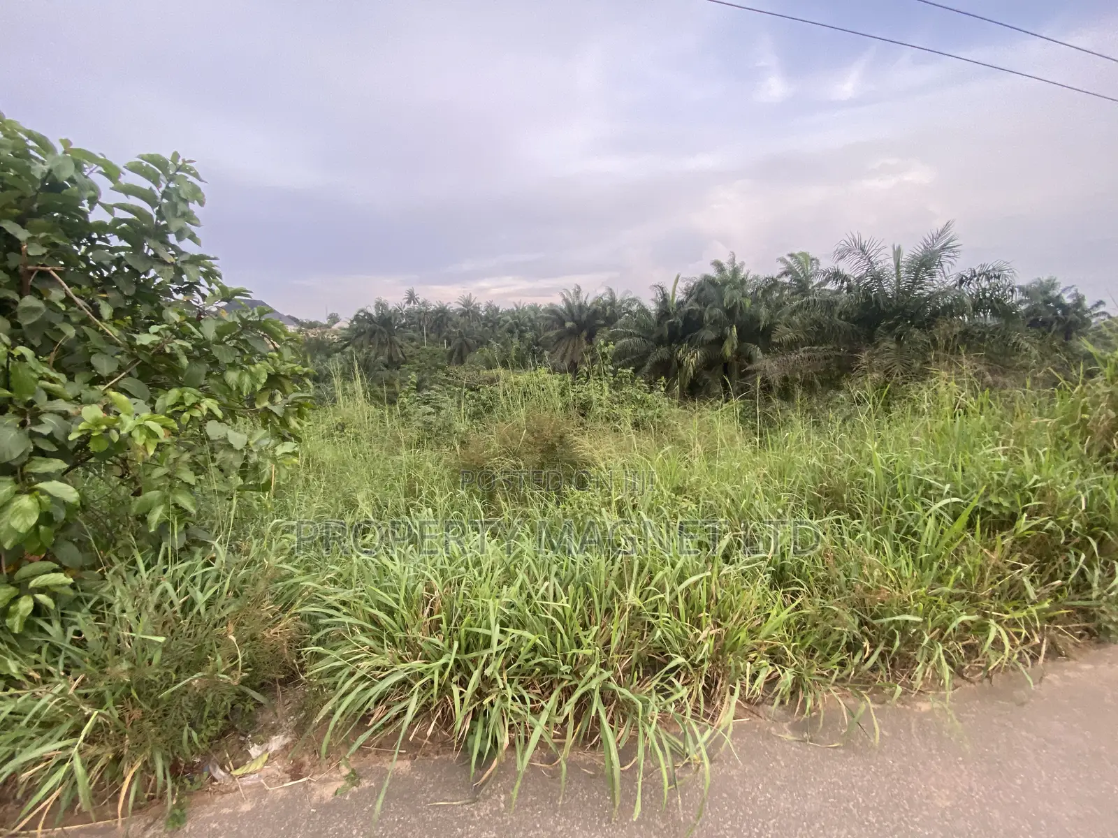 2 and Half Plots of Land for Sale in Ohyia, Umuahia, Abia State