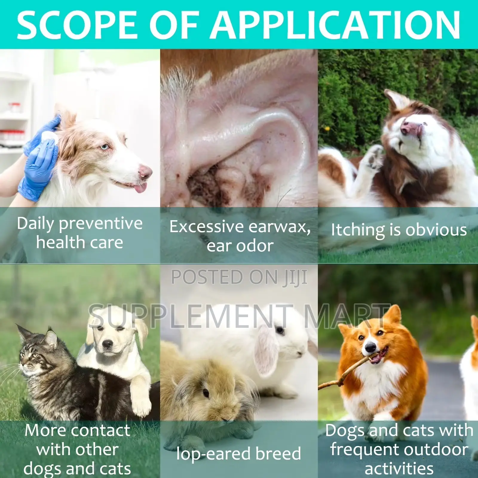 Ear Mite Treatment for Pets
