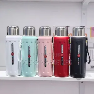 Stainless Steel Vacuum Hot & Cold Flask Modern Design With Filter