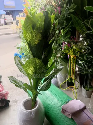 Green and White Flower and Pot