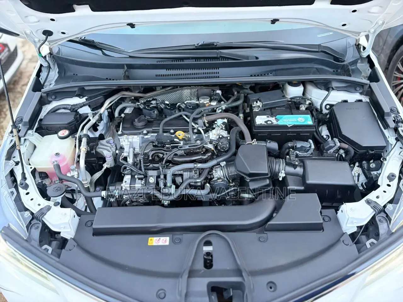 Toyota Corolla 2022 White