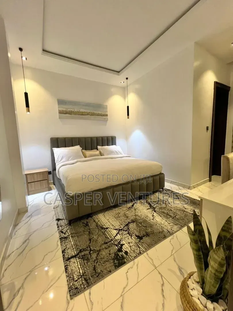 Furnished 2bdrm Apartment in Freedom Way, Lekki Phase 1 for rent