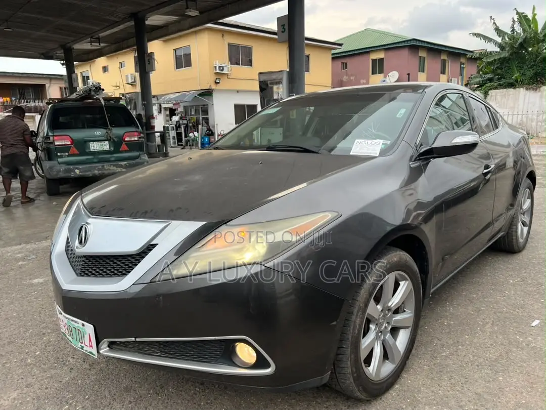 Acura ZDX Base AWD 2010 Gray