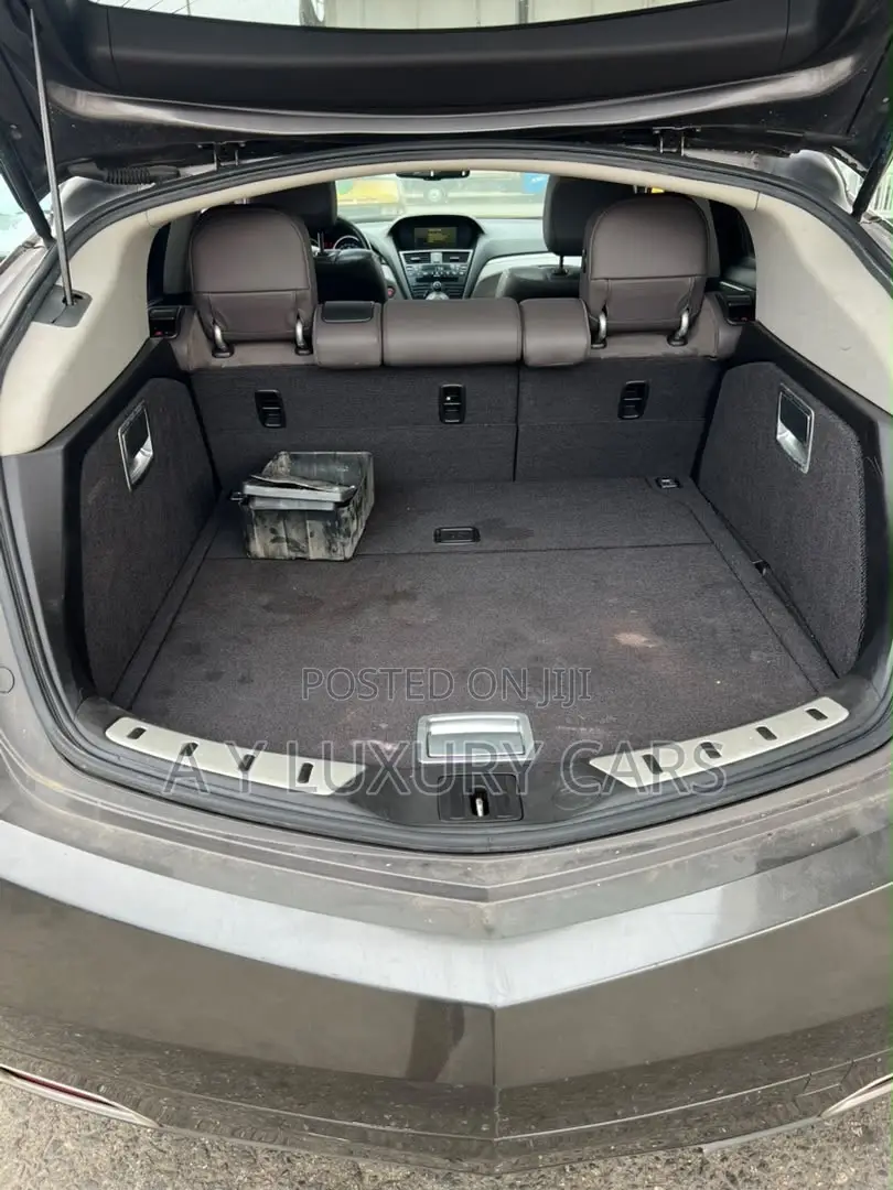 Acura ZDX Base AWD 2010 Gray