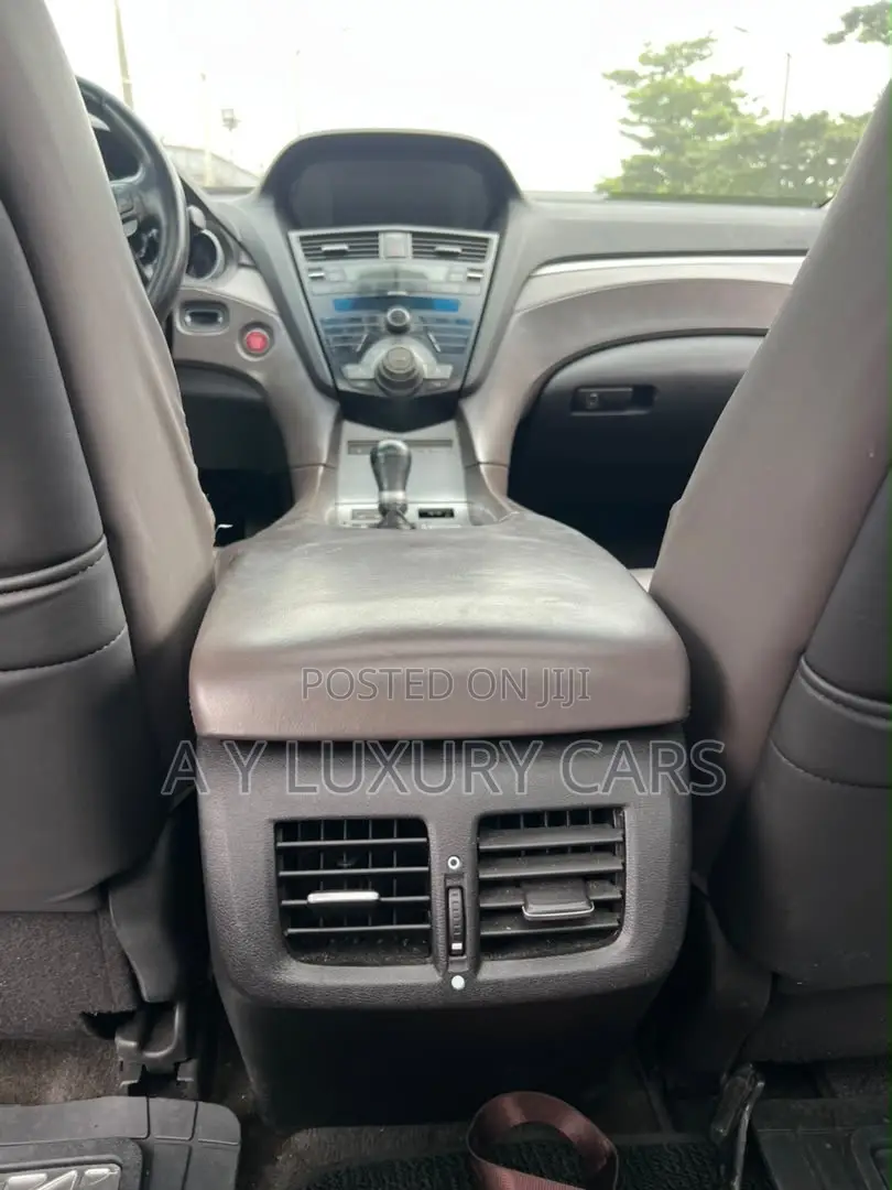 Acura ZDX Base AWD 2010 Gray