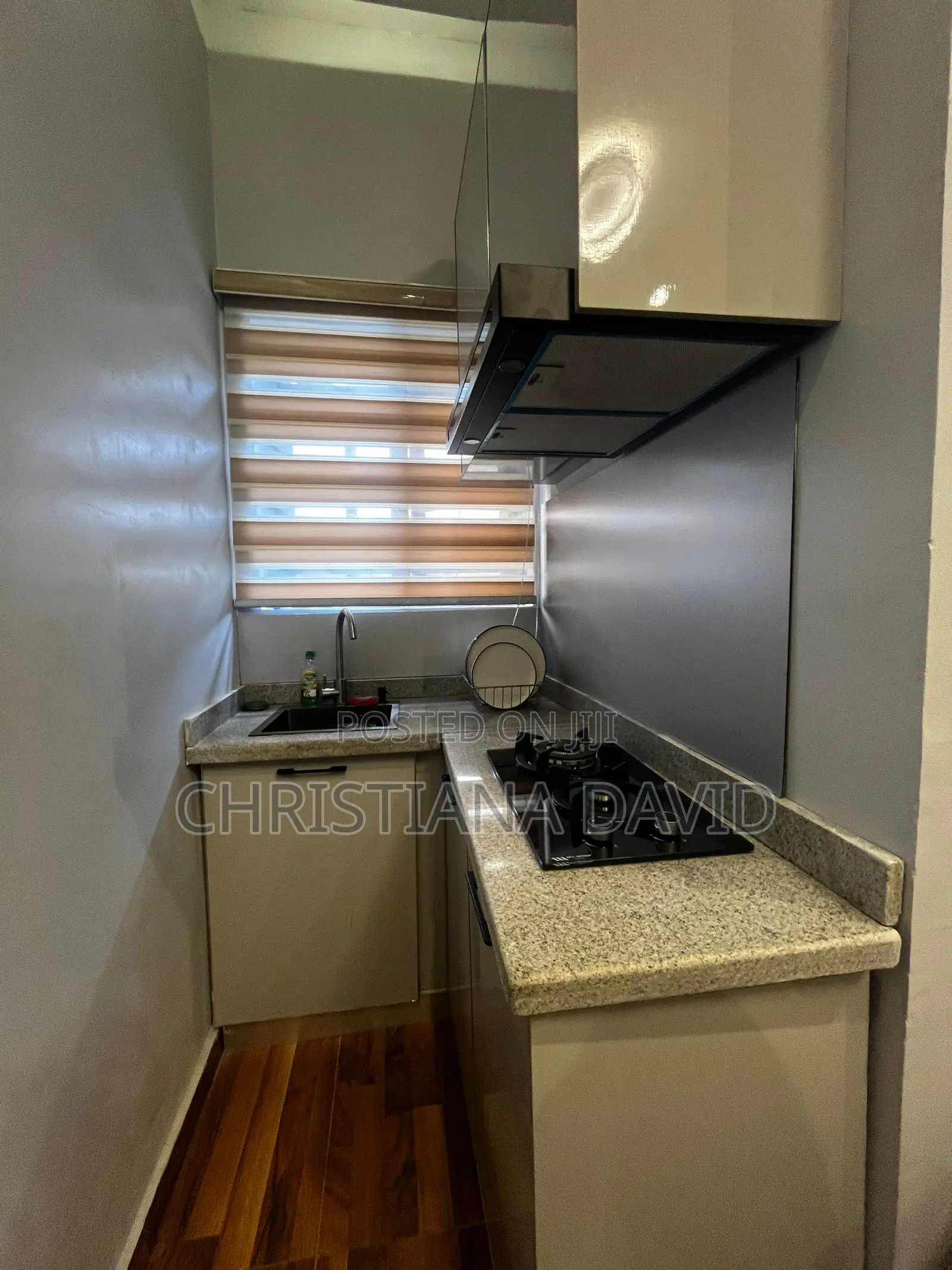 Brand New 1 Bedroom Apartment With Elevator Access
