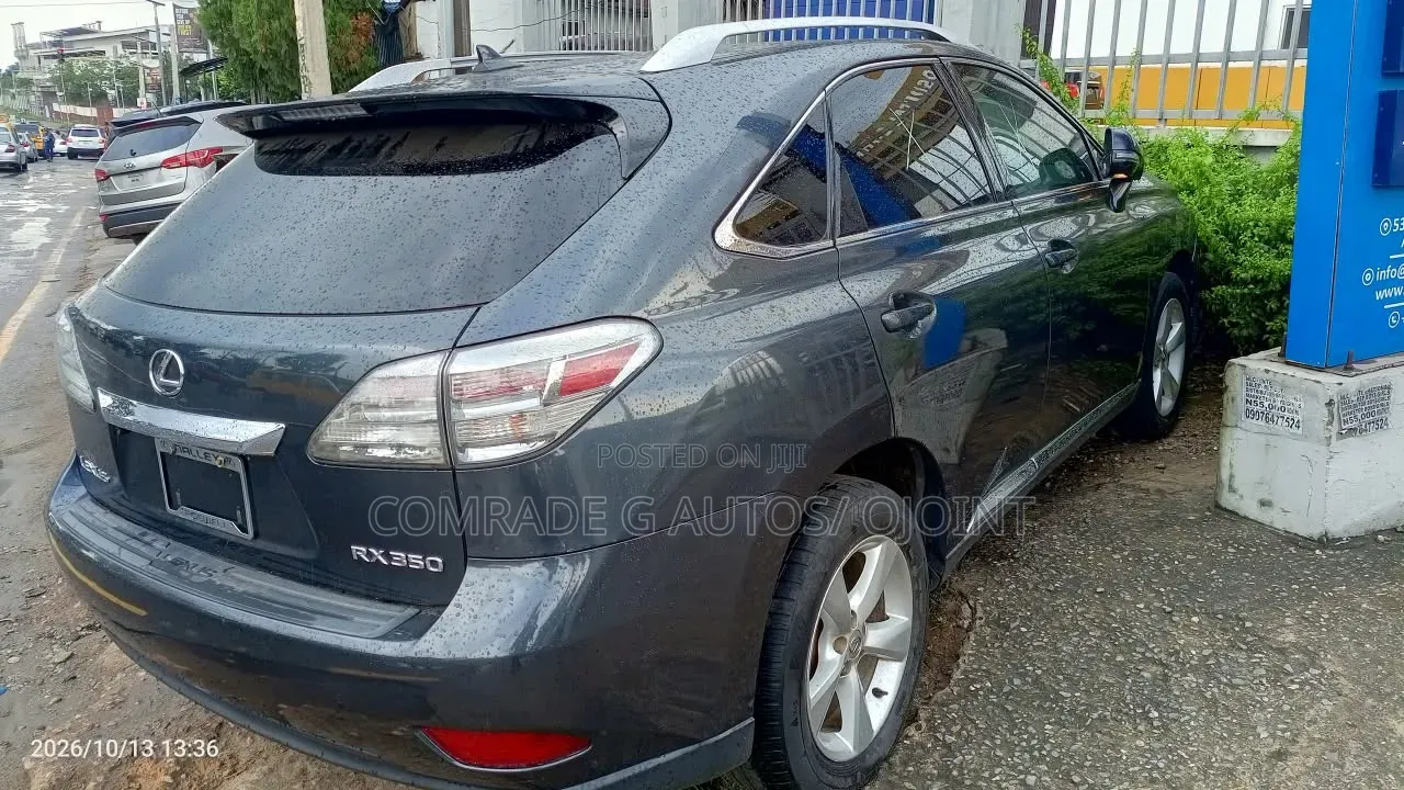 Lexus RX 350 2010 Gray