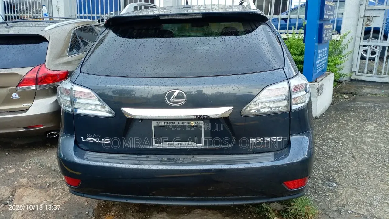 Lexus RX 350 2010 Gray