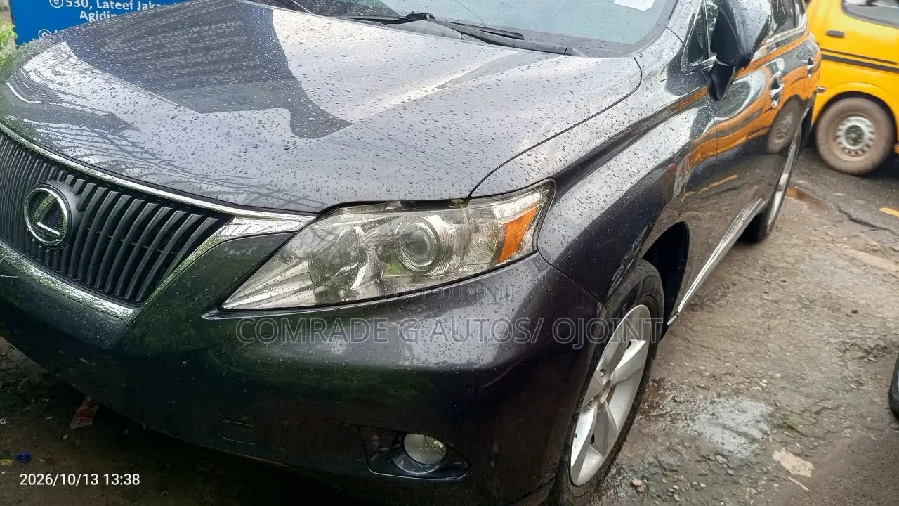 Lexus RX 350 2010 Gray