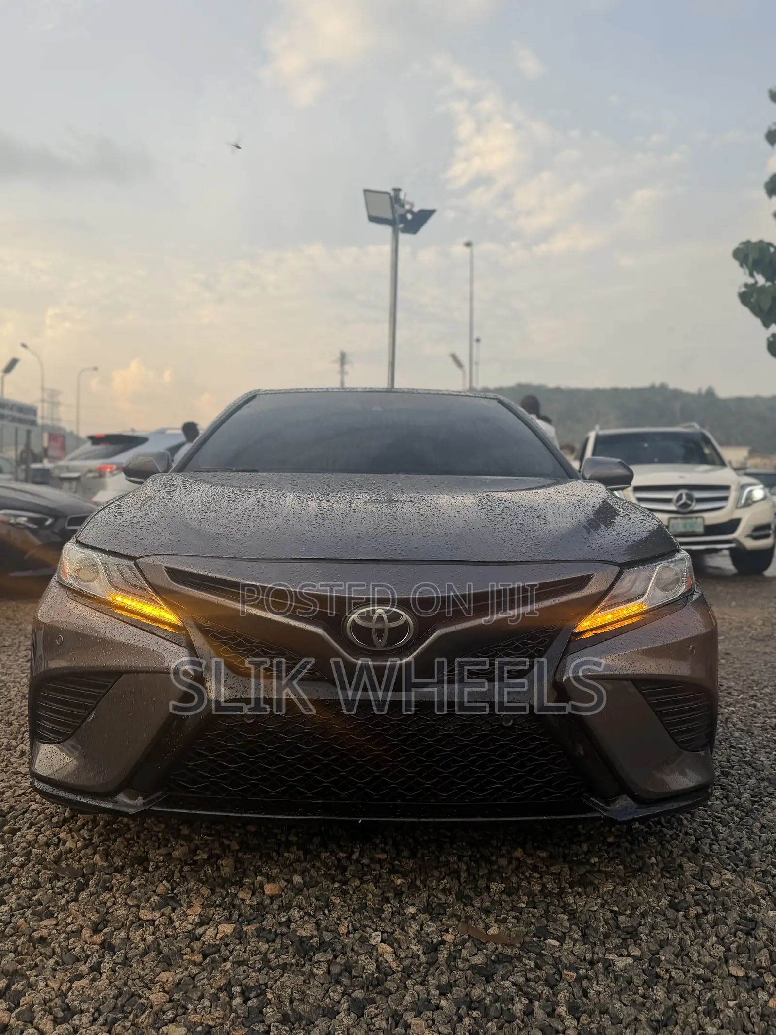 Toyota Camry XLE V6 FWD (3.5L 6cyl 8AM) 2018 Gray