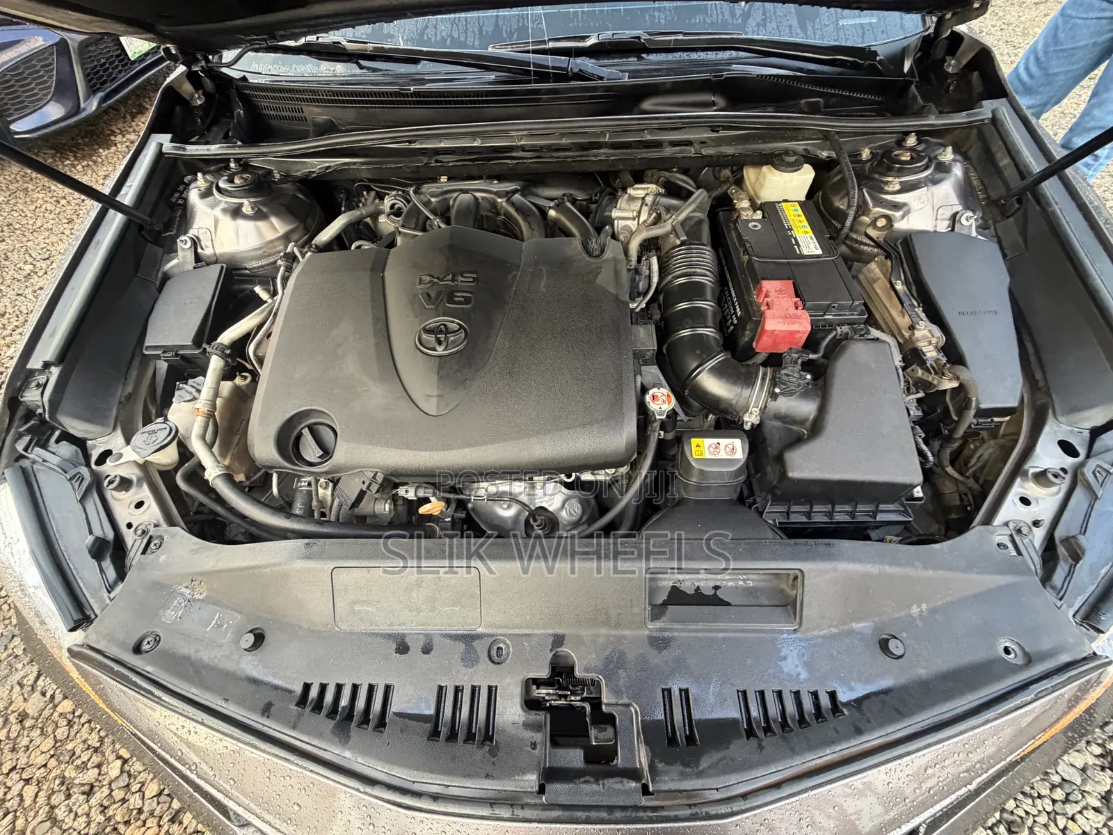 Toyota Camry XLE V6 FWD (3.5L 6cyl 8AM) 2018 Gray