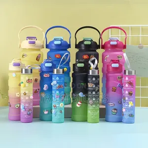 3 in 1 Motivational Bottles
