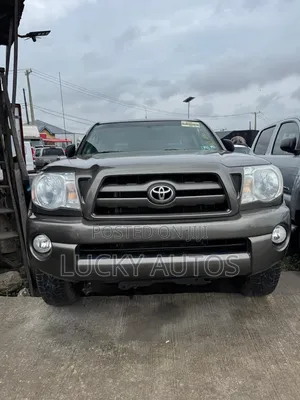 Toyota Tacoma 2010 Gray