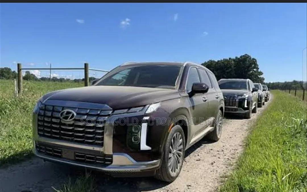 Complete Front Bumper Hyundai Palisade 2023