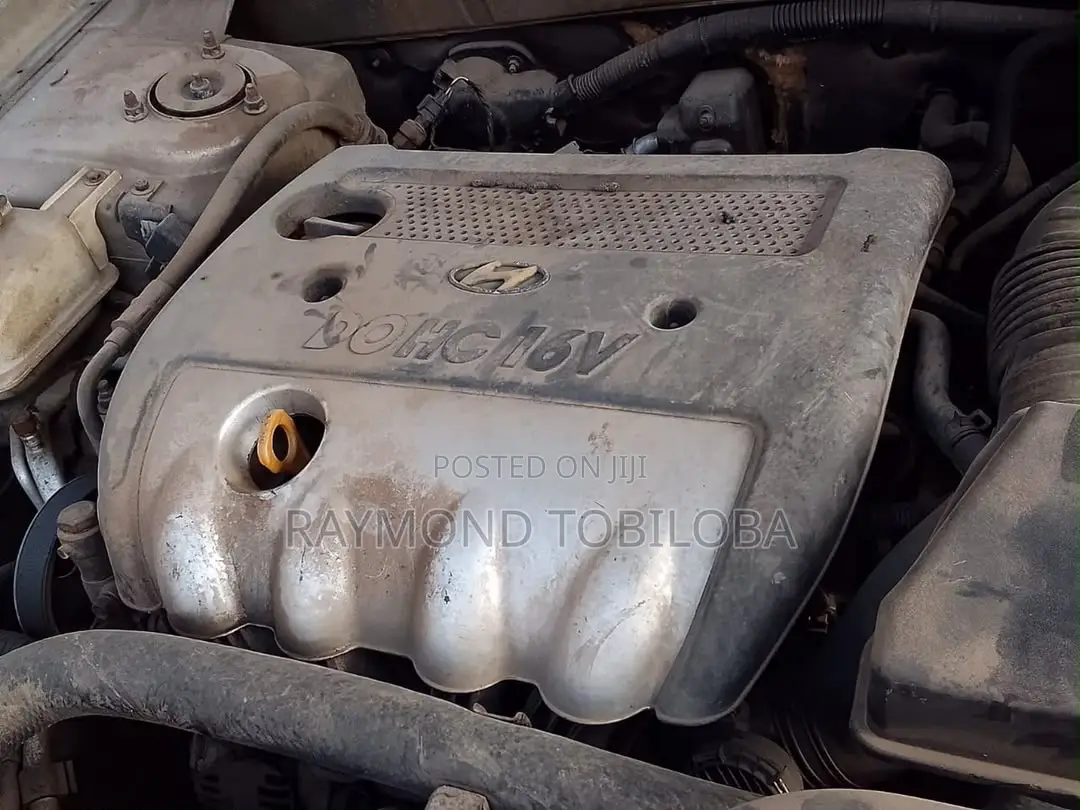 Hyundai Sonata 2008 Gold