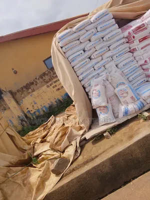 Dangote Cement Distributor