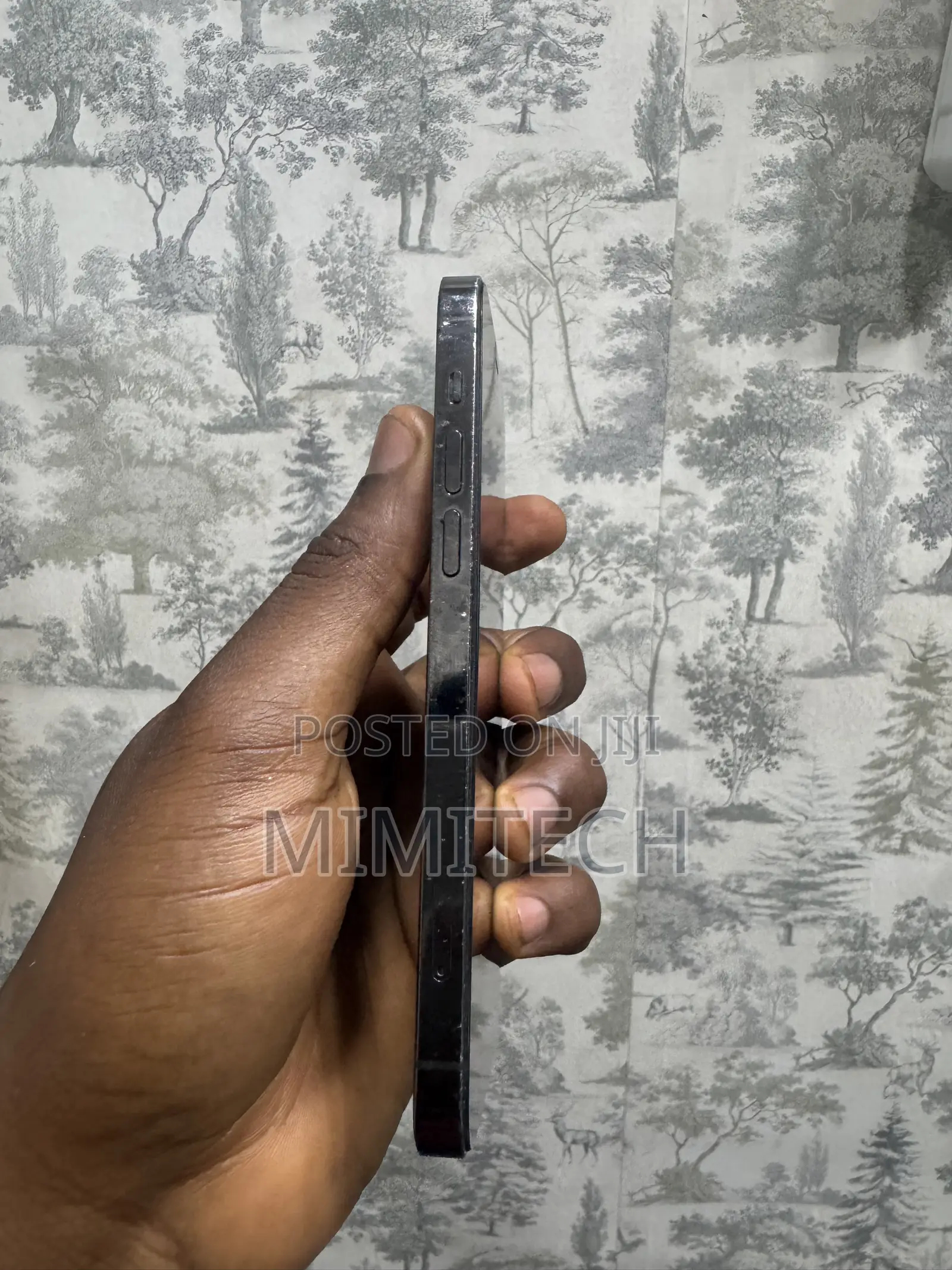 Apple iPhone 12 128 GB Gray